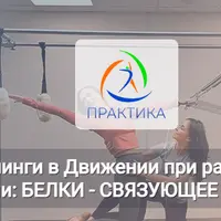 Концепция Слинги в движении при работе на большом оборудовании: белки - связующее звено фасции