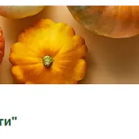 Протокол «Дети»