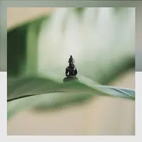 Гармонизация планет