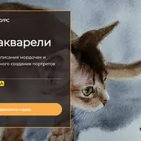 Коты в акварели
