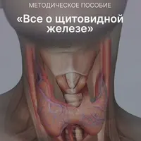 Всё о щитовидной железе