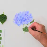 Ботаническая иллюстрация. Техника штриховки