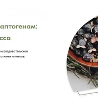 Вебинар-гид по адаптогенам: Травы против стресса