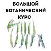 Большой ботанический курс