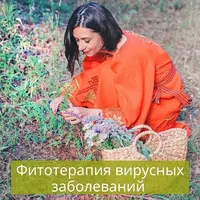 Фитотерапия вирусных заболеваний