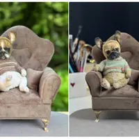 Французский бульдог