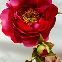 Шелковая флористика: Пион