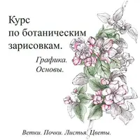 Ботанические зарисовки. Графика. Основы