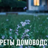 Секреты домоводства