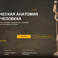 Пластическая анатомия. Фигура человека