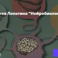 Нейробиология восприятия. Лекция 4. Слух