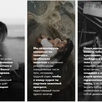 Plasticity Island. Step 0