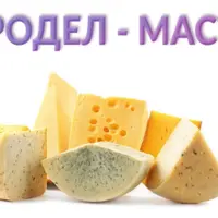 Сыродел-мастер