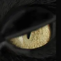 Открытие ясновидения