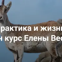 Практика и жизнь. 1 ступень