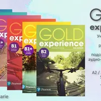 Gold Experience B1+