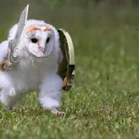 Гайд по кондиционерам