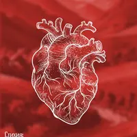 Сильное сердце: секретные технологии