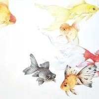 Золотые рыбки