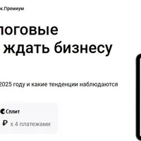 Выездные налоговые проверки: что ждать бизнесу в 2025 году