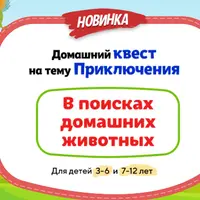 Домашний Квест «В поисках домашних животных»