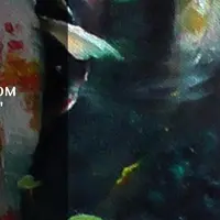 Девять Карпов