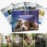 Идеальные Pawtraits