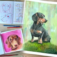 Мокрый нос, пушистый хвост