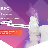 Химикус. Химия 8 класс