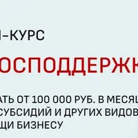 Эксперт по господдержке