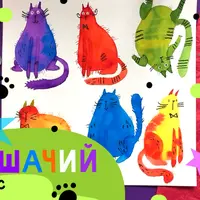 Кошачий курс