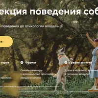 Коррекция поведения собак