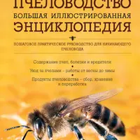 Пчеловодство