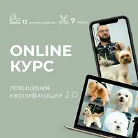 Груминг. Курс повышения квалификации 2.0