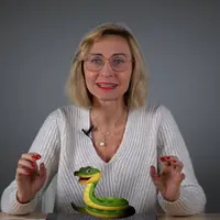 Аудит Фэн-Шуй 2025