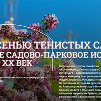 Романтические сады