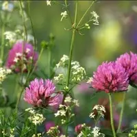 Ритмы бытия: проявленность