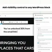 Conditional Blocks Pro
