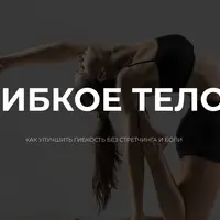 Гибкое тело
