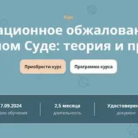 Кассационное обжалование в Верховном Суде: теория и практика