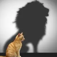 Образ тела. Формирование. Норма и патология