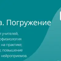 Нейропедагогика. Погружение