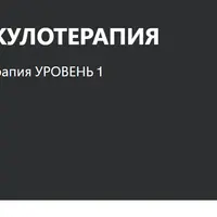 Акупунктура и аурикулотерапия. Уровень 1