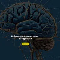 Нейрокоррекция мозговых дисфункций