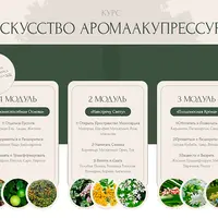 Искусство Аромаакупрессуры. Модуль 1: Жизнеспособная Основа