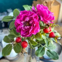 Лепка: Шиповник