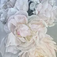 Облака пионов