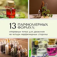 13 парфюмерных формул: шипровые, фужерные, восточные ароматы, одеколоны