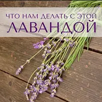 Ингредиенты: что нам делать с этой лавандой?