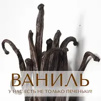 Ваниль: у нас есть не только печеньки!